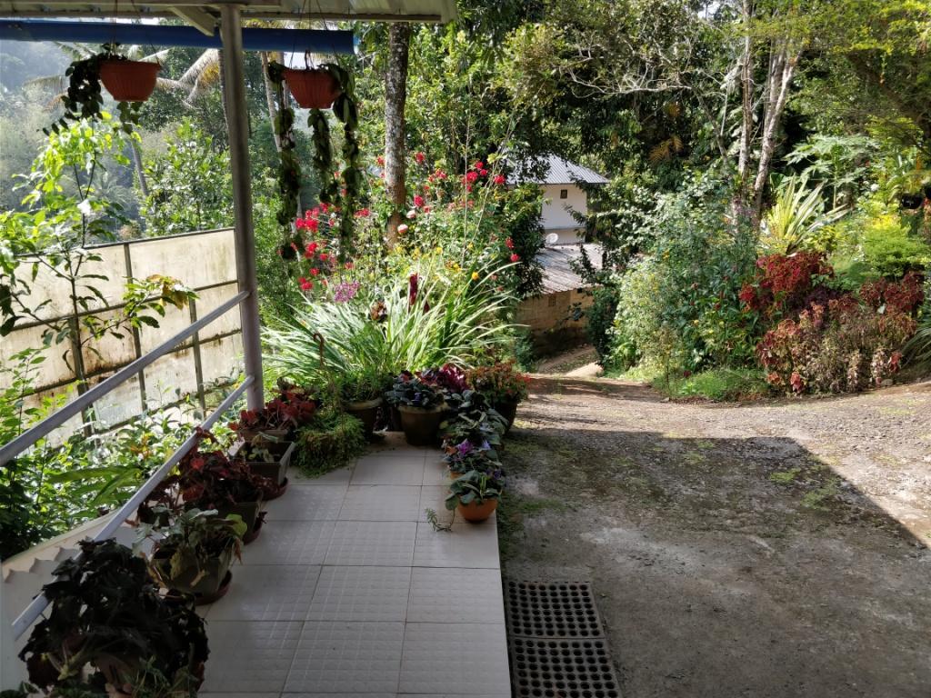 River View Inn Munnar Exterior foto